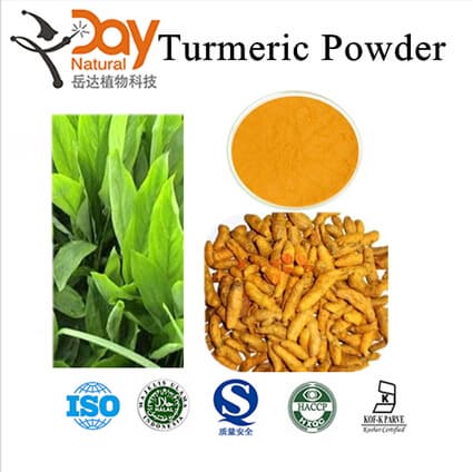 Turmeric extract Curcumin 95_ for natural coloring